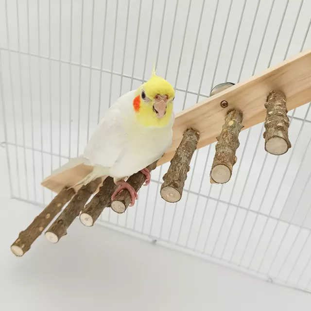 Vogel Holz Leiter Papagei Sitzstange Ständer Rack Halter Spielzeug Plateau Käfig