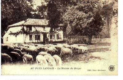 40 FRANCE NON SITUEE CPA      IMP REUNIES DE NANCY ed. S-33693 