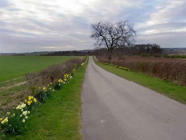 Photo 6x4 Private Road but Public Footpath Little Smeaton/SE5216  c2008