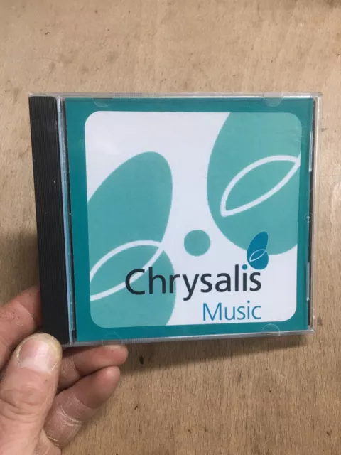 David Gray - A New Day At Midnight Chrysalis Music Rare 12 Trk Promo CD Demo