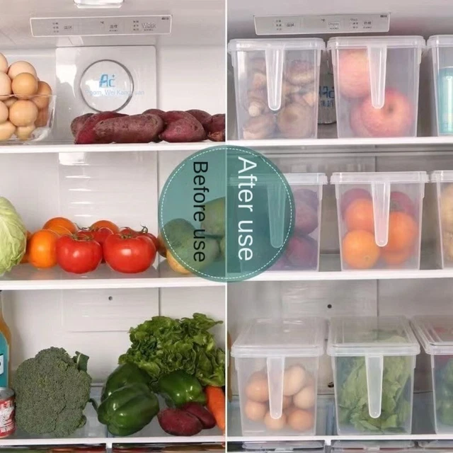 Conteneur à Nourriture | 8Kg-20L | Fermeture Hermétique |Avec Roulettes