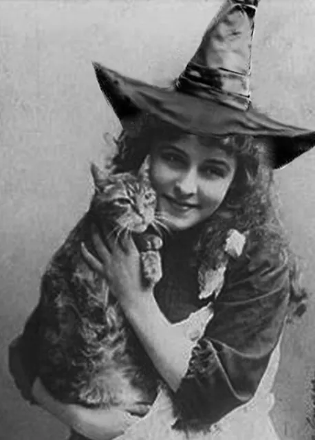 Vintage Halloween Witch & Cat Photo 473 Oddleys Strange & Bizarre