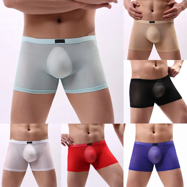 Mens Sexy See-through Boxer Briefs Sheer Mesh Pouch Underwear Panties Lingerie