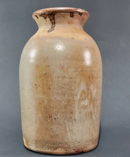 Uncommon 19th C. WILLIAM HARE Wilmington De Stoneware Fruit / Oyster Canning Jar