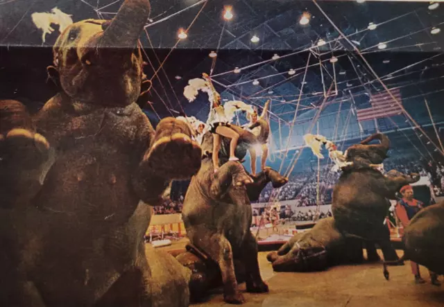Ringling Brothers Circus US Tour First-Person Account Original 1950s Article 6pg
