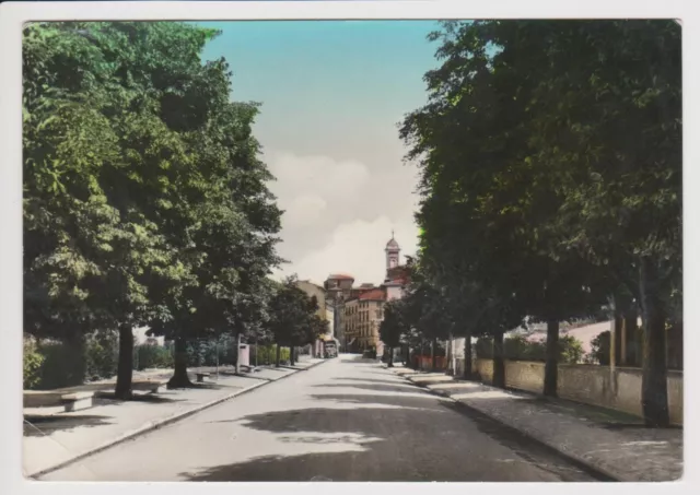 1953 - Vecchia Cartolina Di Foiano Della Chiana - Arezzo - Viale - Ed. Alterocca