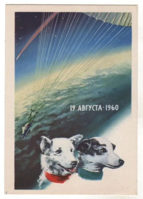 1962 SPACE DOG Belka & Strelka Cosmos rocket Original Russian Photo postcard OLD