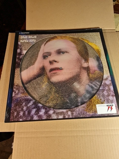 DAVID BOWIE ‘HUNKY Dory (50th Anniversary Picture Disc) - Vinyl LP New ...
