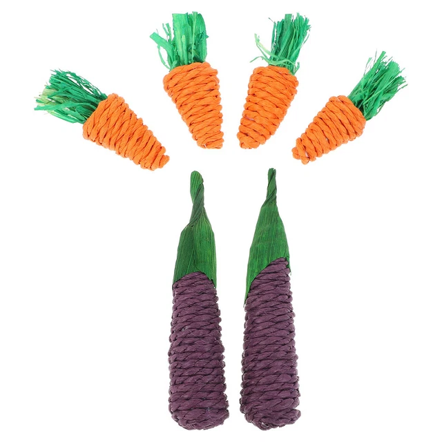 teething toy Birde Papagei Spielzeug Guinea Pig Spielzeug Vogel Biss Spielzeug