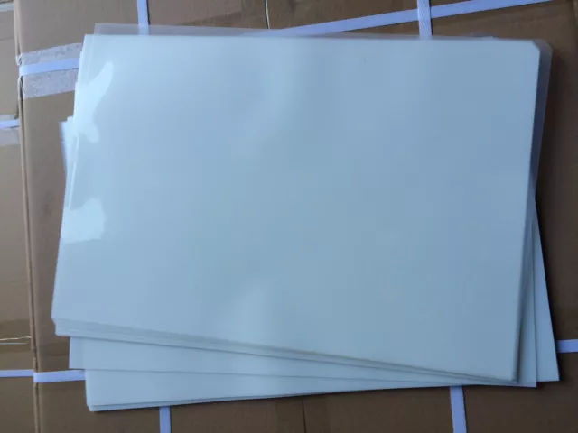 10 Sheets Inkjet Cold/ Hot Peel Plastisol Heat Transfer Film Heat Iron Printing 3