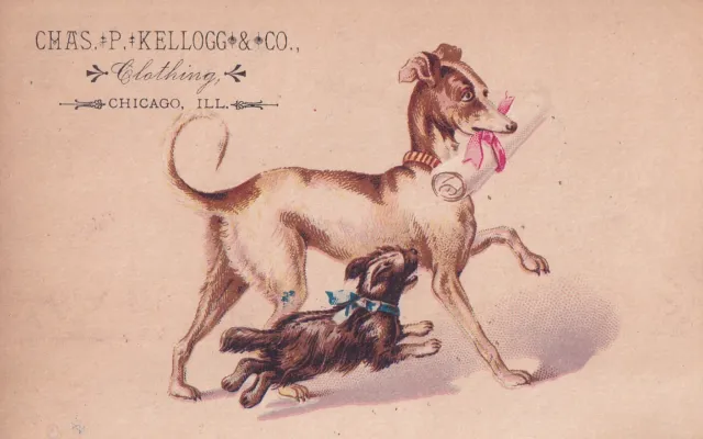 1800s Victorian Trade Card -Chss Kellogg & Co -Dogs-Chicago-Selling Lot of Cards