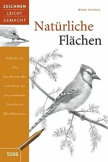 Natürliche Flächen: Zeichnen leicht gemacht von Car... | Buch | Zustand sehr gut