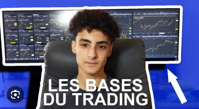 Formation Idriss Trading - Commencer le trading sans se ruiner ( Valeur 2000€ )