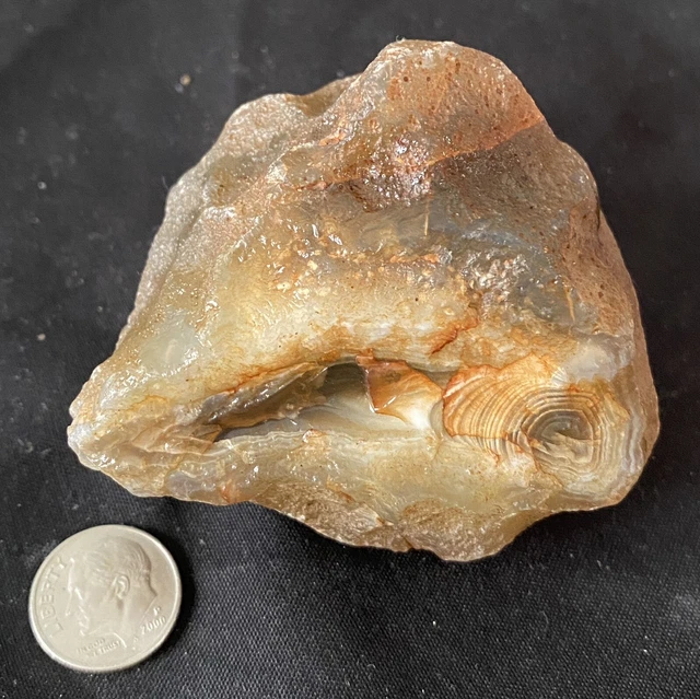Rare Rough Botswana Agate whole nodule “THE LAZY-EYED CYCLOPS” 7.4 Ounces B3