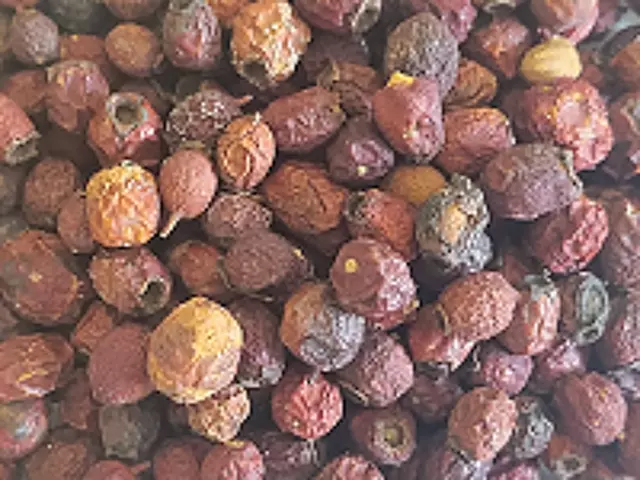 Bayas de espino - Crataegus pinnatifida frutos secos boticario artesanías Wicca