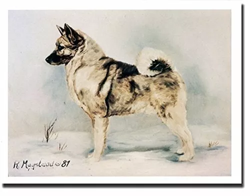 Norwegian Elkhound Pet Dog Profile Notecards 6 Blank Note Cards By Ruth Maystead