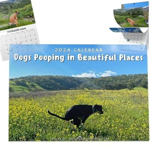 2024 CALANDER丨DOGS POOPING in Beautiful Places Calendar 2024 Wall