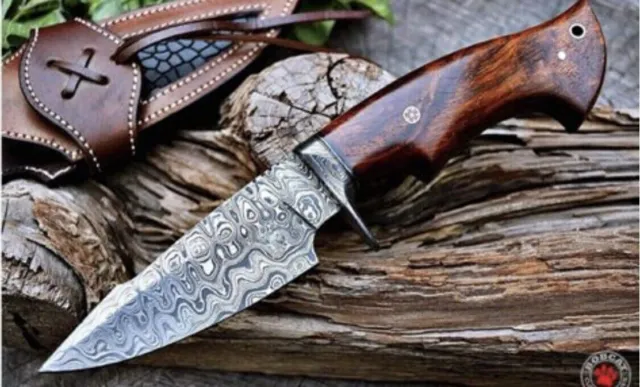 10”Custom Handmade Forged Damascus Steel HUNTING Knife W/ Cocobolo Wood Handle