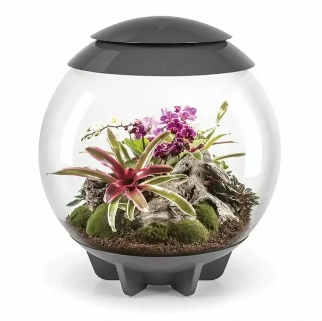 Biorb Air 60L Grey Terrarium Tank Led Lighting Heated Tropical Plants Reptile 2