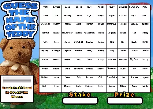 GUESS THE NAME OF TEDDY A4 FUNDRAISING SCRATCHCARD CHARITY EVENT 100 Square BEAR