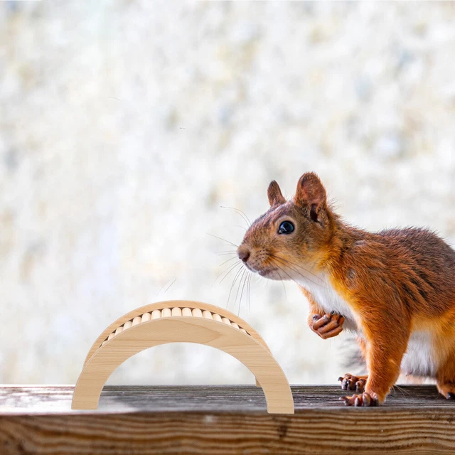 Giocattolo per arrampicata in legno piccoli animali domestici di allenamento