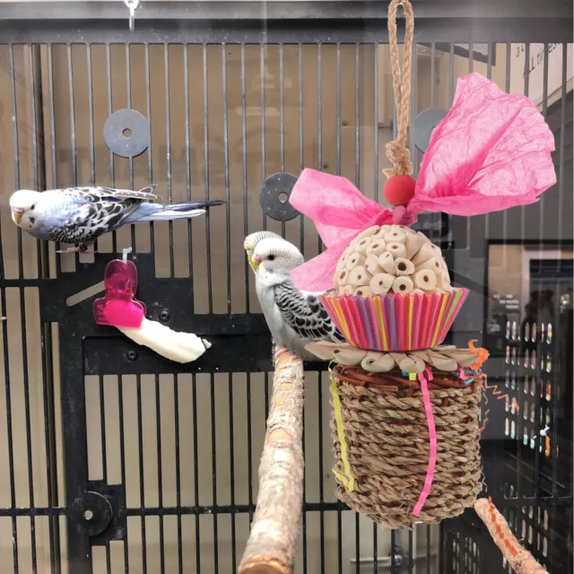 Papagei Spielzeug Leckereien Beißspielzeug Für Sittiche Vögel