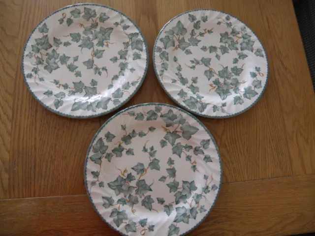 3 large country vine dinner plates