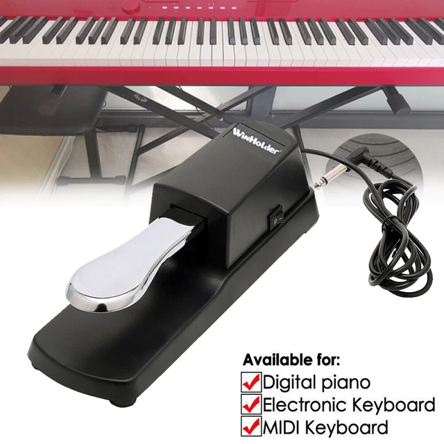 Universal Damper Sustain Pedal Foot Switch For Yamaha Casio Piano Keyboard UK
