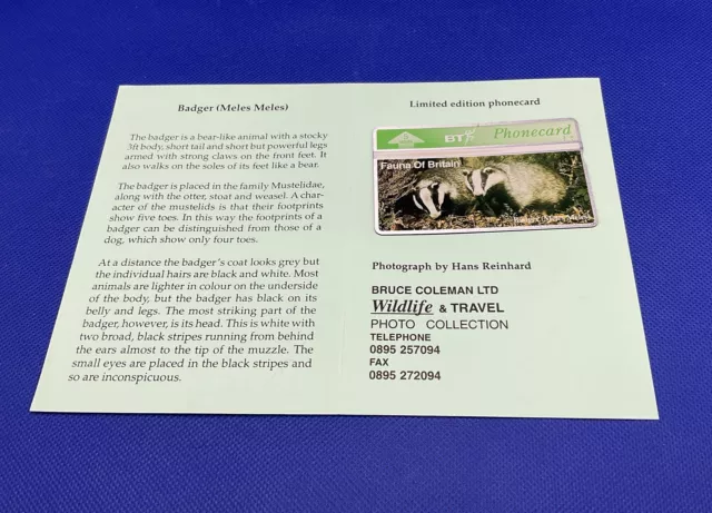BT Phonecard LE Of 500 Fauna Of Britain- Badger In Presentation Folder - New