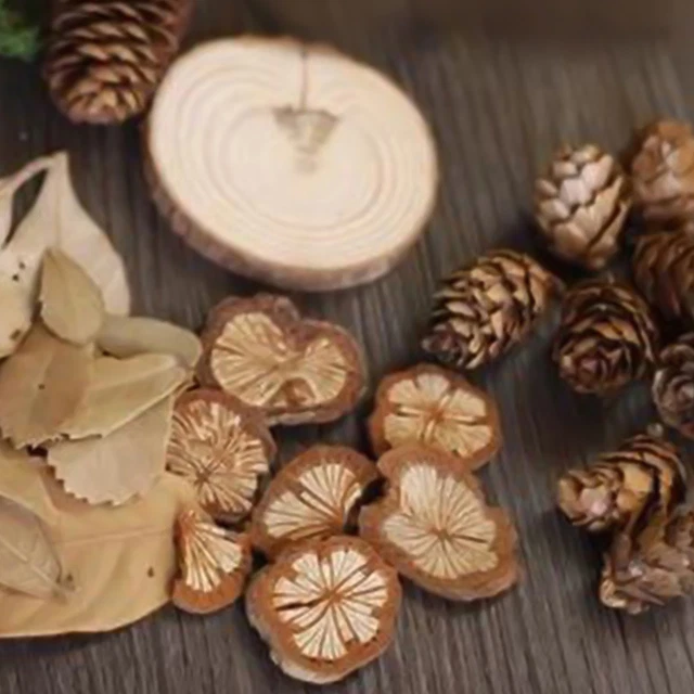 Ornament Eco-Friendly Fadeless Pinecones Wooden Slices Decor Set Photo Prop
