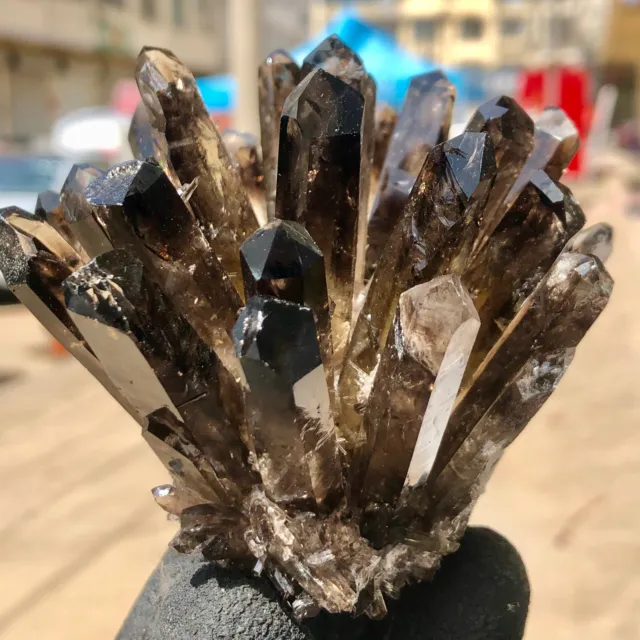 343g    New Find black Phantom Quartz Crystal Cluster Mineral Specimen Healing