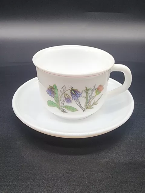 Vintage Arcopal France Cup Saucer Milk Glass Floral