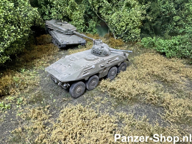 Char IFV NOMER échelle HO 1:87 - Modèle Réduit Militaire - Marque Behnke - Édition Limitée