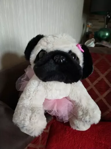 Pug teddy discount card factory