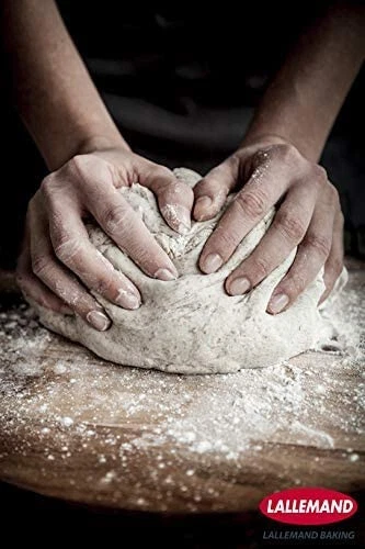 Lallemand levure sèche de boulangerie - 500 g de qualité boulangère professionne 8