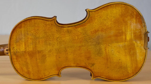old violin 4/4 geige viola cello fiddle label VINCENT PANORMO Nr. 1930