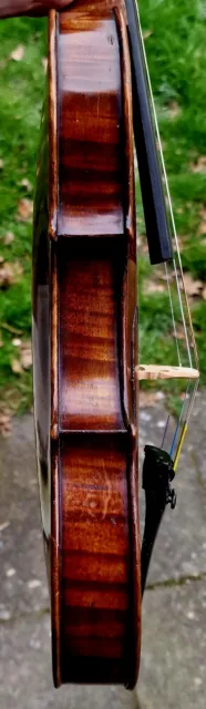 Violín antiguo, violín A.C. Glier Markneukirchen aprox. 1920, modelo Guarneri 3