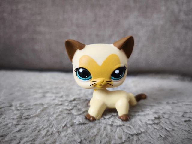 Little petshop chat européen shorthair 💛#2194 - Jeux & Jouets