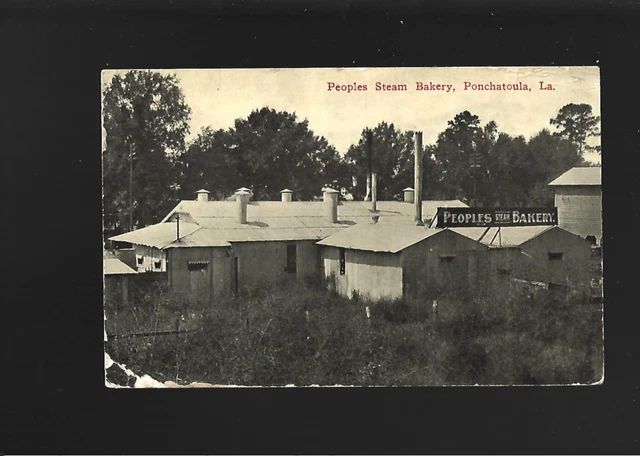 Vintage  Postcard Louisiana Ponchatoula  Peoples Steam Bakery  1914