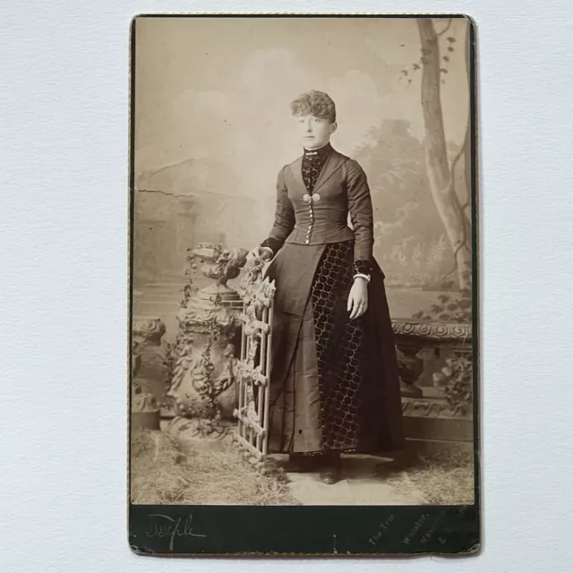 Antique Cabinet Card Photograph Beautiful Young Woman Great Dress OH