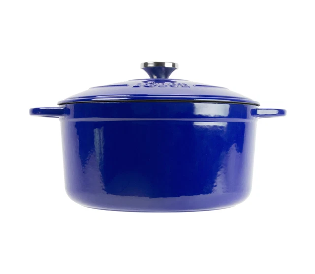 Cast Iron 5.5 Quart Enameled Dutch Oven Marinate Refrigerate Food Glass Surface 5