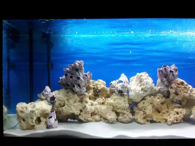 Substrat de terrarium sable aquarium aquarium gravier blanc SILICE 0,5-0,8 mm 2 kg 3