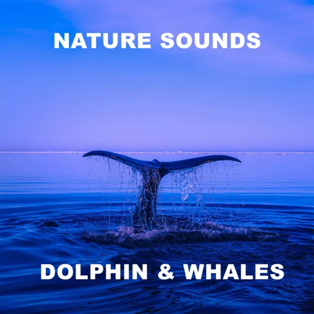 Dolphin & Whale Nature Cd For Relaxation, Meditation Stress, Healing, Sleep, Spa