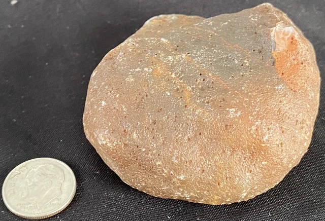 Rare Rough Botswana Agate whole nodule “THE HAMBURGER PATTY” 7.1 Ounces B11