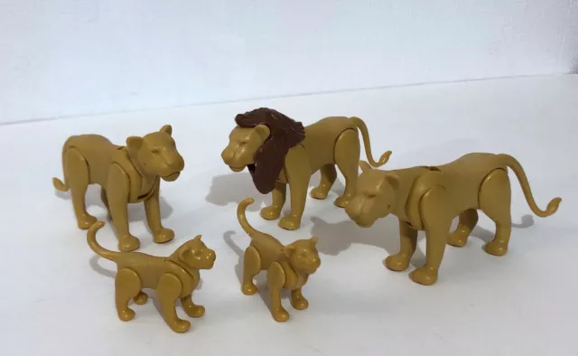 Famille de lions - 9834