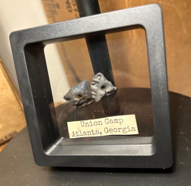 CIVIL WAR HARDTACK dug Relic from Union Camp-Atlanta, GA $39.99 - PicClick