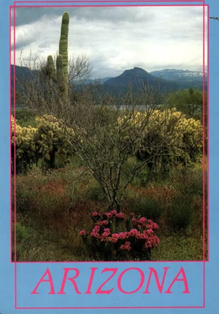 Theodore Roosevelt Lake Cactus Blooming Brush Arizona Vintage Postcard Unposted