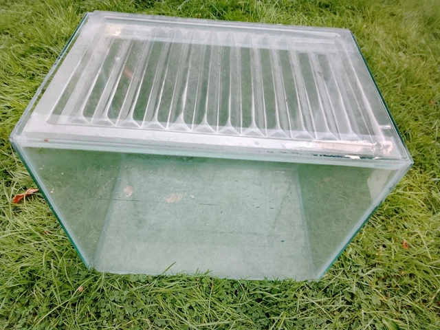 Small glass aquarium fish tank 2
