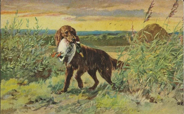 Vintage Dog GERMAN Wire-Haired Pointer w/Duck and Landscape Scene Postcard