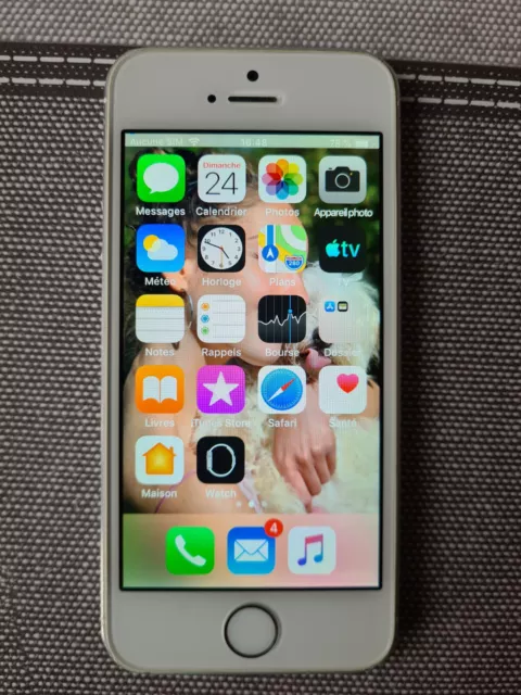 Apple iPhone 5s - 32 Go - Argent (Désimlocké)